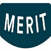 Merit Auto Spa Detailing Services